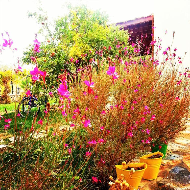 Hotel Nar Bagevi à Bozcaada Extérieur photo